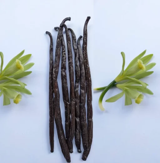 Gourmet Vanilla (Grade A)