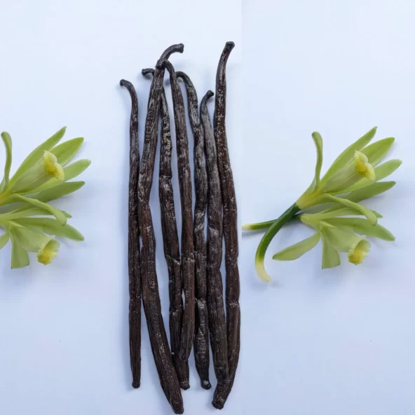 Gourmet Vanilla (Grade A)