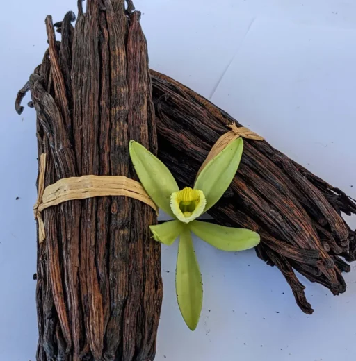 Red Vanilla (Grade B – EU & US)